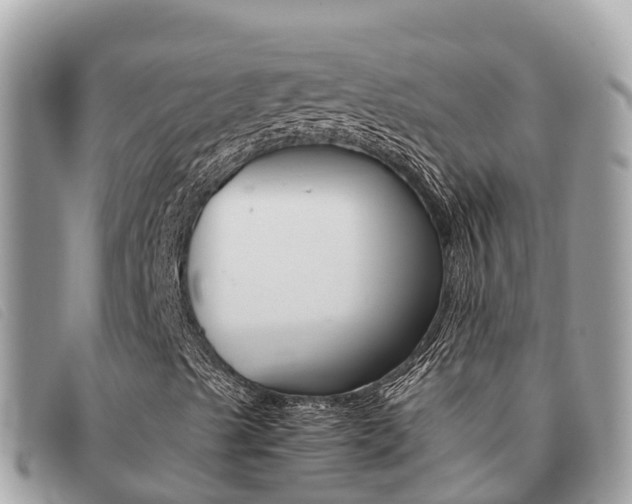 X0000091541489200708170959