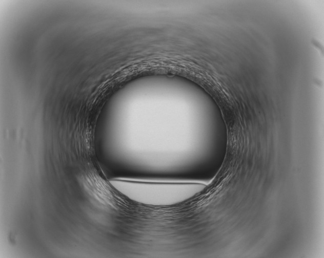 X0000091541490200708170959