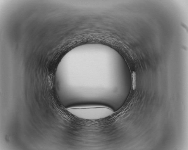 X0000091541491200708170959