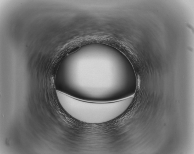 X0000091541492200708170959