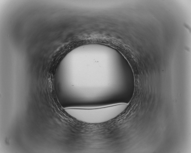 X0000091541493200708170959