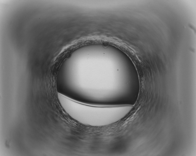 X0000091541494200708170959