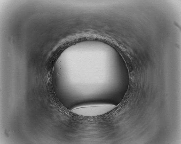X0000091541495200708170959