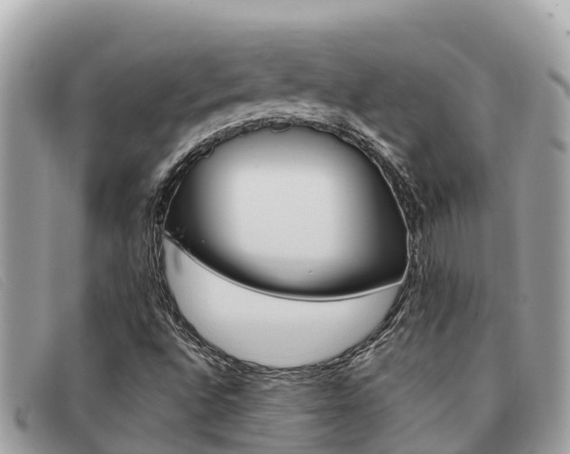 X0000091541496200708170959