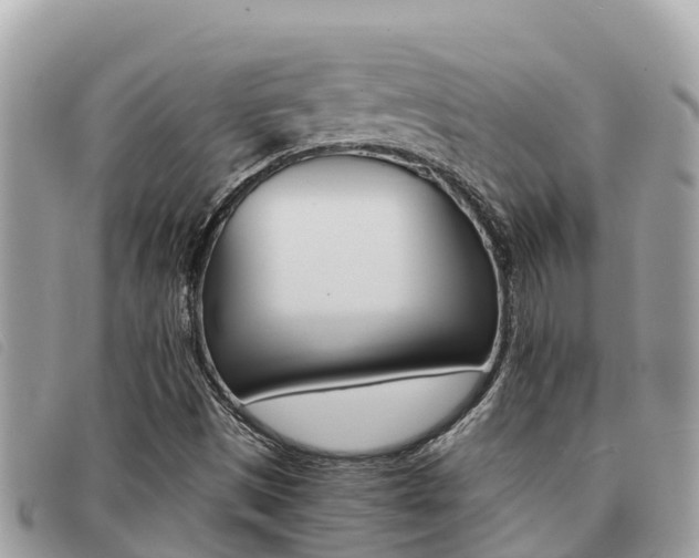X0000091541497200708170959