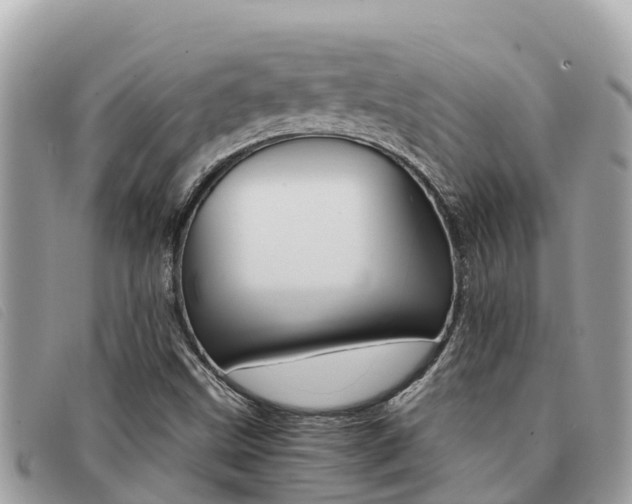 X0000091541499200708170959