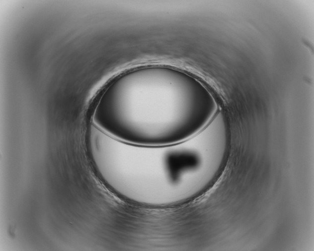 X0000091541502200708170959