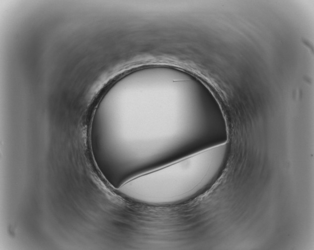 X0000091541503200708170959