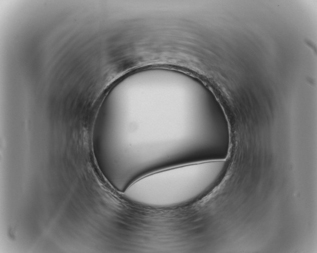X0000091541505200708170959