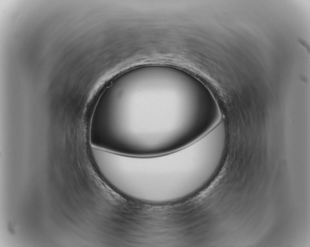 X0000091541506200708170959