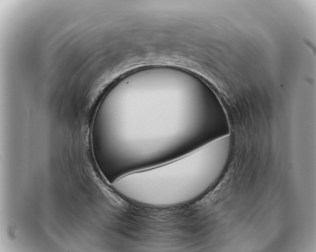 X0000091541507200708170959