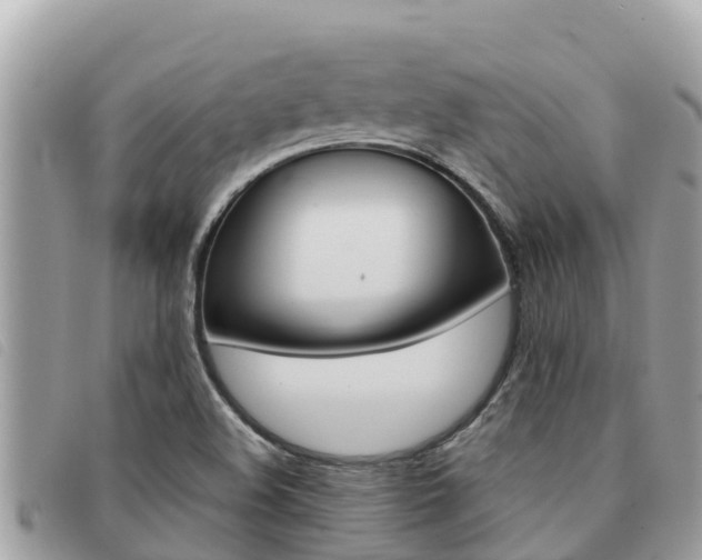 X0000091541508200708170959