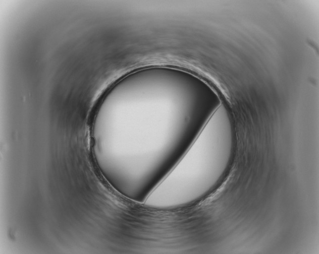 X0000091541509200708170959