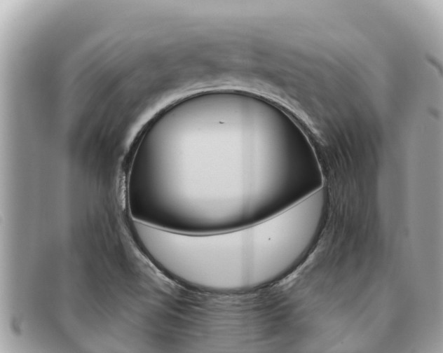 X0000091541510200708170959