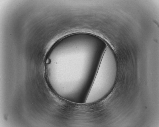 X0000091541511200708170959