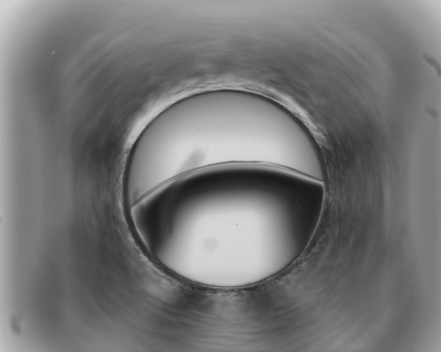X0000091541512200708170959