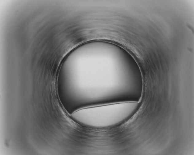 X0000091541513200708170959