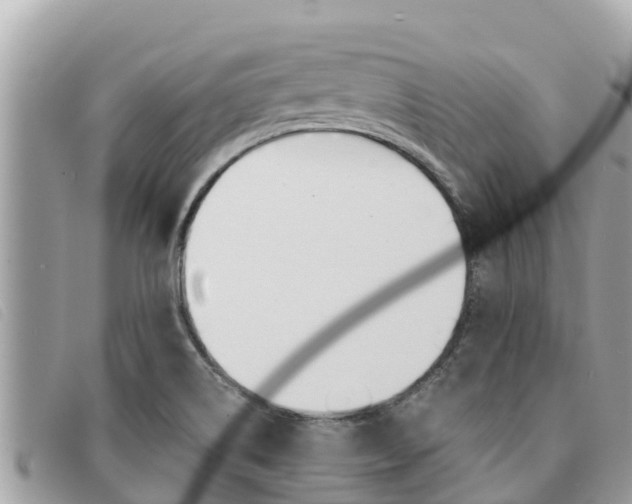 X0000091541514200708170959