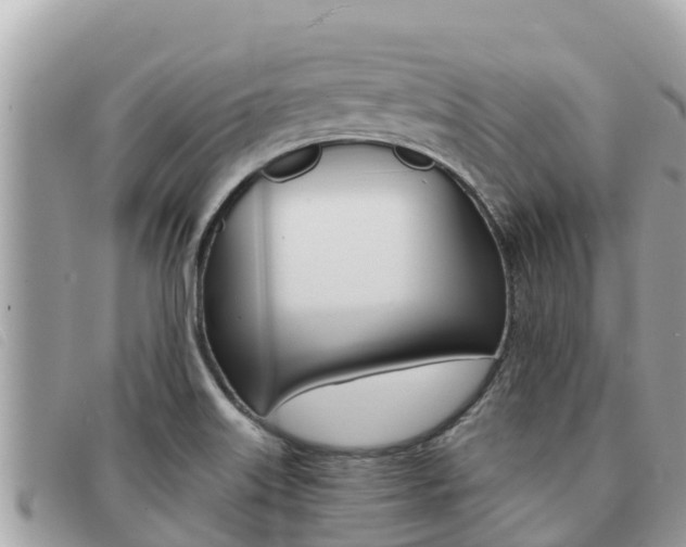 X0000091541515200708170959