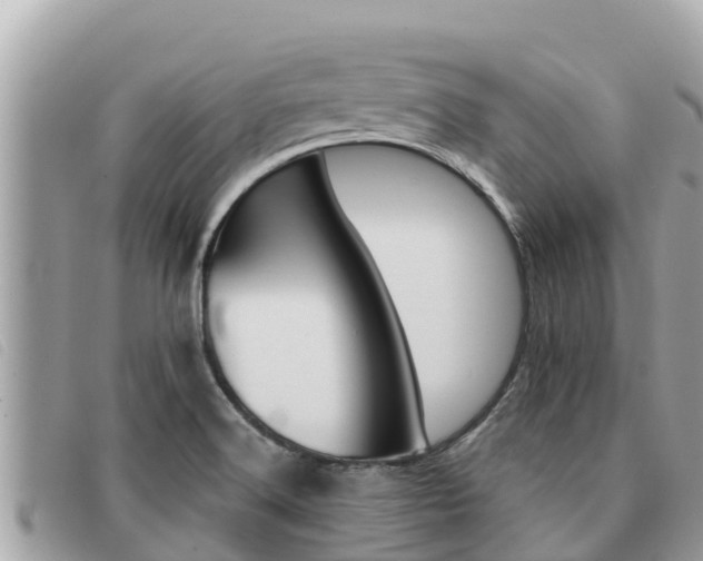 X0000091541516200708170959