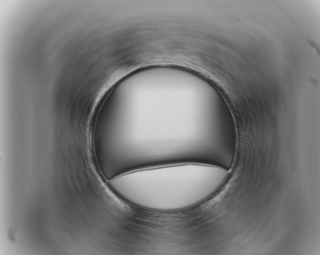 X0000091541517200708170959