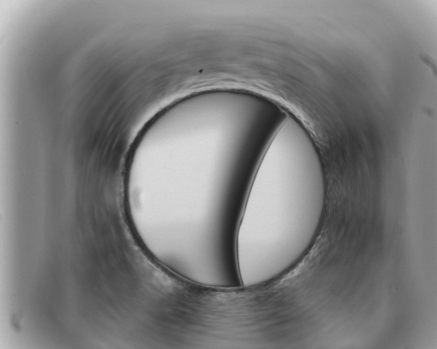 X0000091541518200708170959