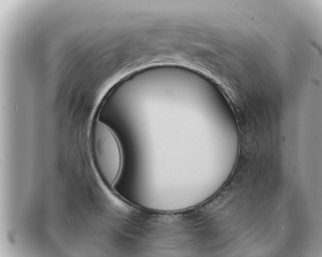 X0000091541519200708170959