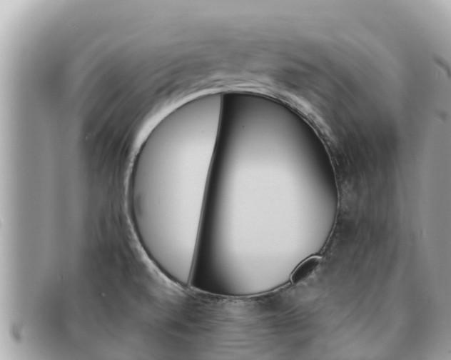 X0000091541520200708170959