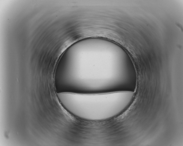 X0000091541521200708170959