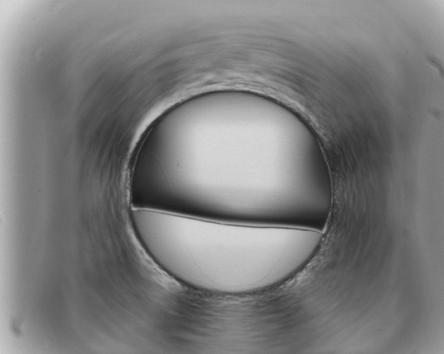 X0000091541522200708170959
