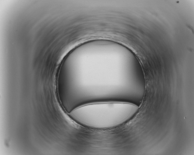 X0000091541523200708170959