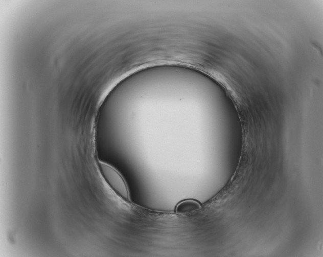 X0000091541524200708170959