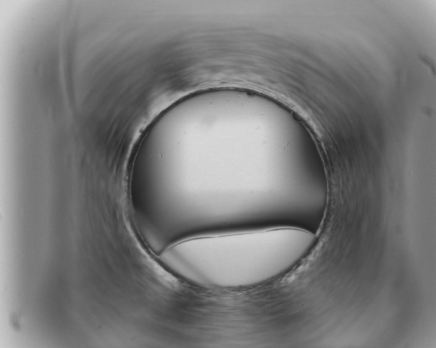 X0000091541525200708170959