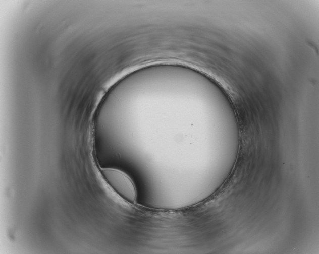 X0000091541526200708170959