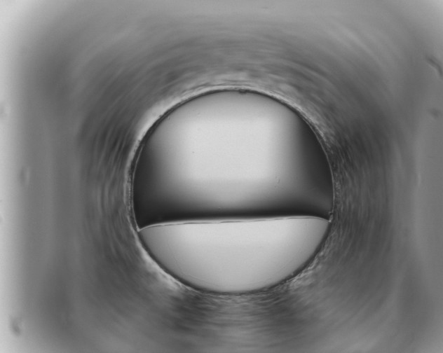X0000091541527200708171000