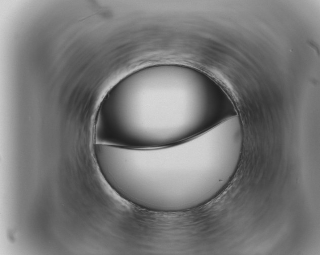 X0000091541528200708171000