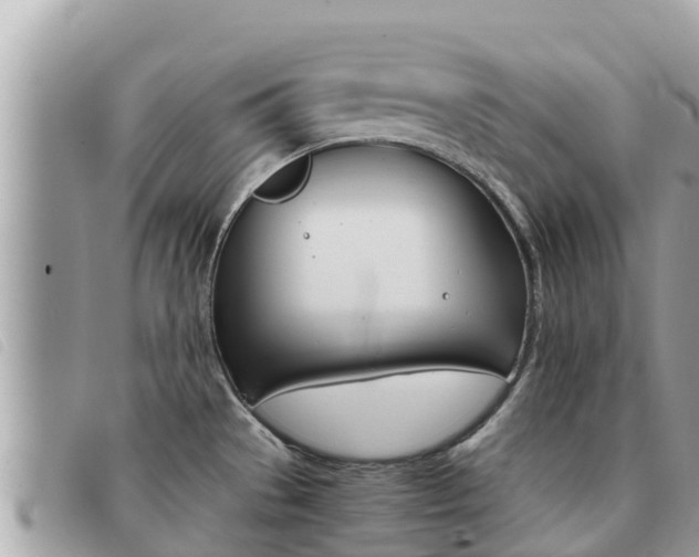 X0000091541529200708171000