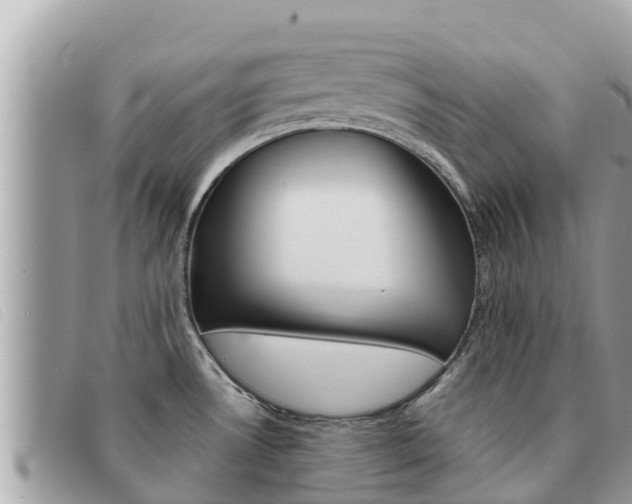 X0000091541530200708171000