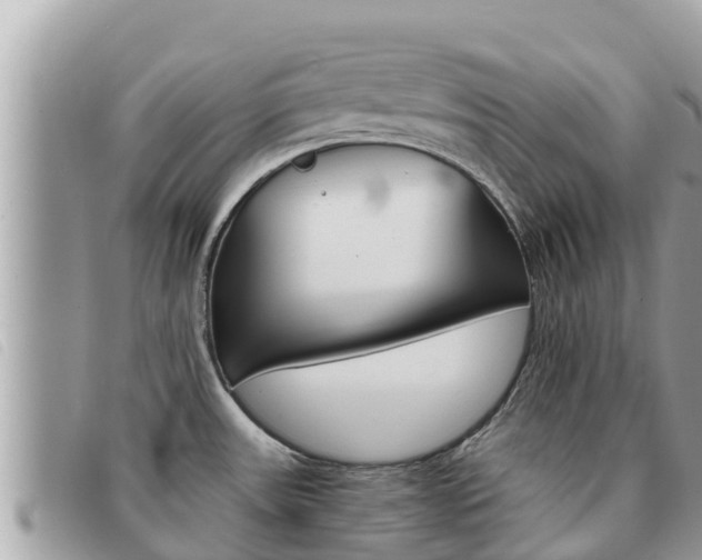 X0000091541531200708171000