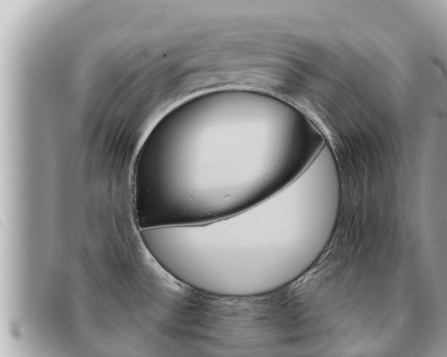 X0000091541532200708171000