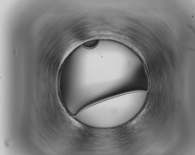X0000091541533200708171000
