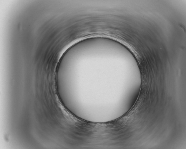 X0000091541534200708171000