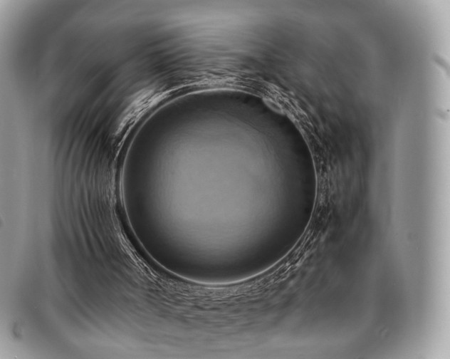 X0000091540002200708171255