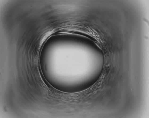 X0000091540003200708171255