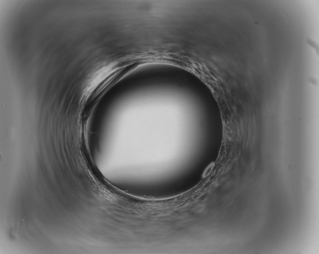 X0000091540005200708171255