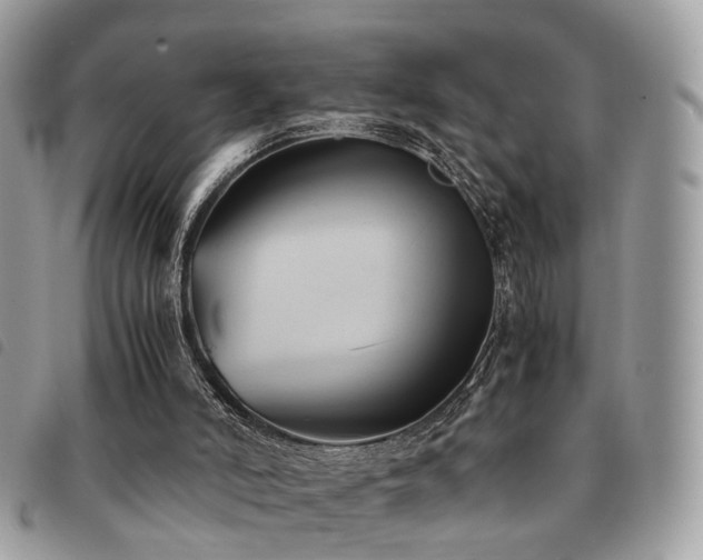 X0000091540006200708171255