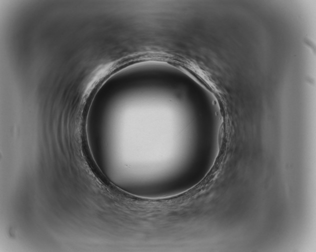 X0000091540007200708171255