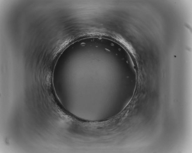 X0000091540009200708171255