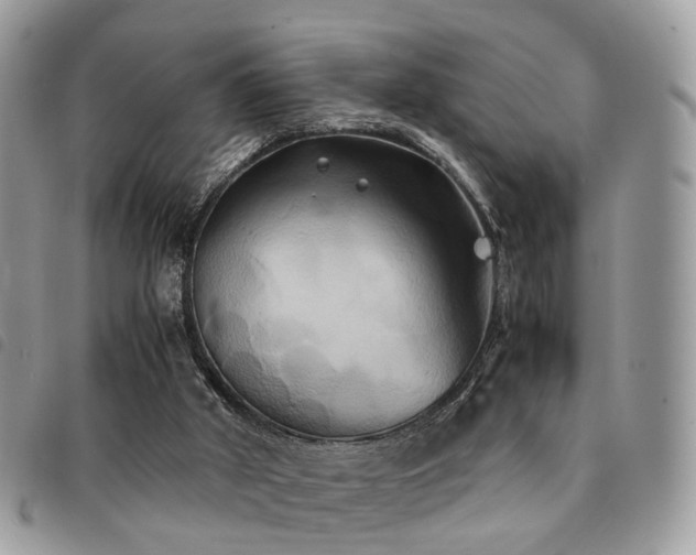 X0000091540010200708171254