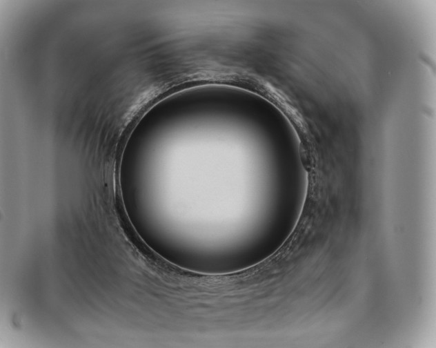 X0000091540011200708171254